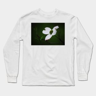 Dogwood Tree Blossom Long Sleeve T-Shirt